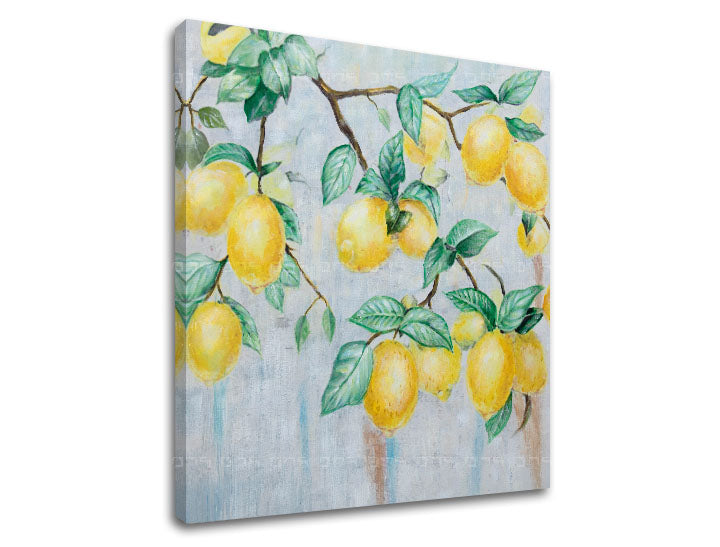 obraz-na-platne-citrony-rozne-rozmery-XOBCH1840SDE1.jpg