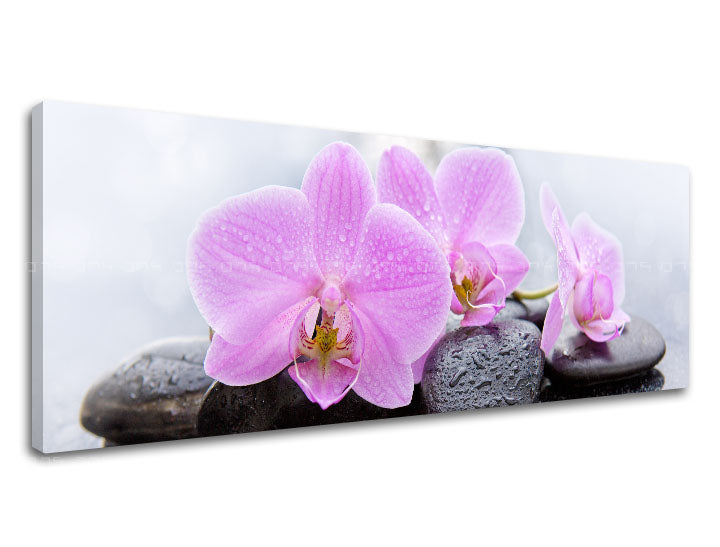 obraz-na-platne-feng-shui-062-13-rozne-rozmery-XOBFS062E14.jpg
