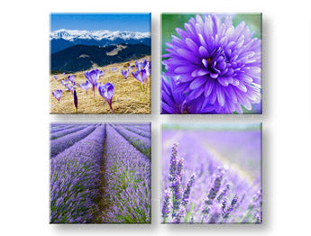 Obraz na stenu Wonderful view | rôzne rozmery