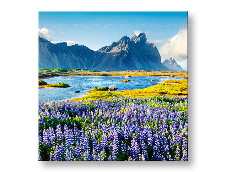 obraz-na-platne-XOBKR047E12.jpg-1