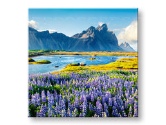 obraz-na-platne-XOBKR047E12.jpg-1