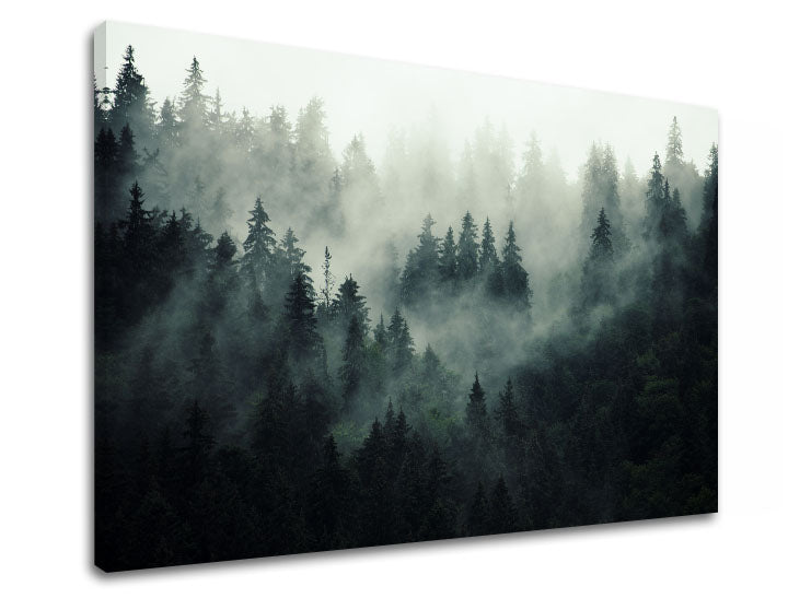 Klasický obraz na plátne s motívom HORY, hmla, opar, krajina, mapa v bielo-sivých odtieňoch, slávnostná atmosféra, príroda a samota, vhodný do kancelárie – produkt