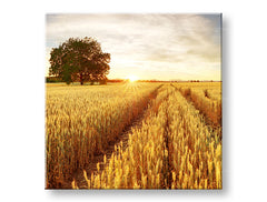 obraz-na-platne-XOBKR053E12.jpg-1