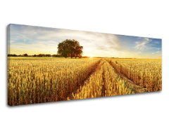 Obraz na stenu LÚKA_053-13 | rôzne rozmery