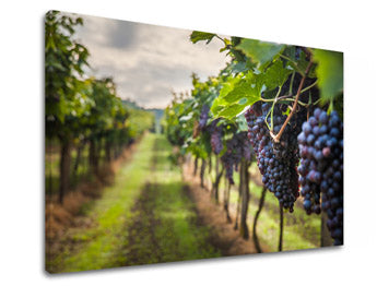 Obraz na stenu HROZNO_091-11 | rôzne rozmery