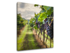 Obraz na stenu HROZNO_091-12 | rôzne rozmery