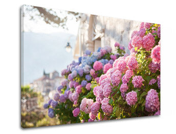 Obraz na stenu RUŽOVÉ KVETY_157-11 | rôzne rozmery