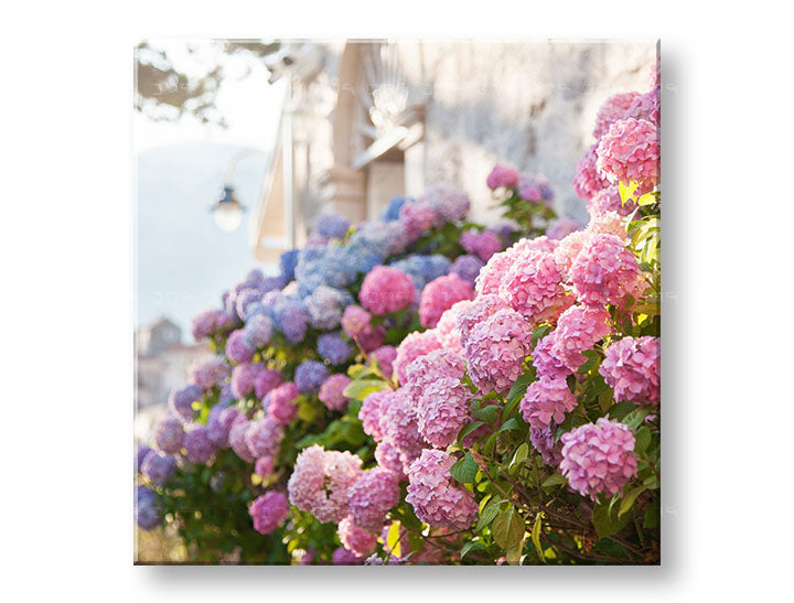 obraz-na-platne-XOBKV157E12.jpg-1