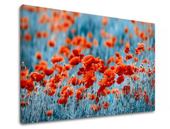 Obraz na stenu ČERVENÉ KVETY_159-11 | rôzne rozmery