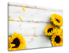 Obraz na stenu ŽLTÉ KVETY_160-11 | rôzne rozmery