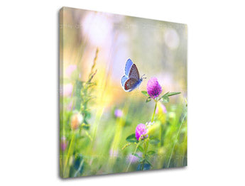 Obraz na stenu FAREBNÉ KVETY_161-12 | rôzne rozmery