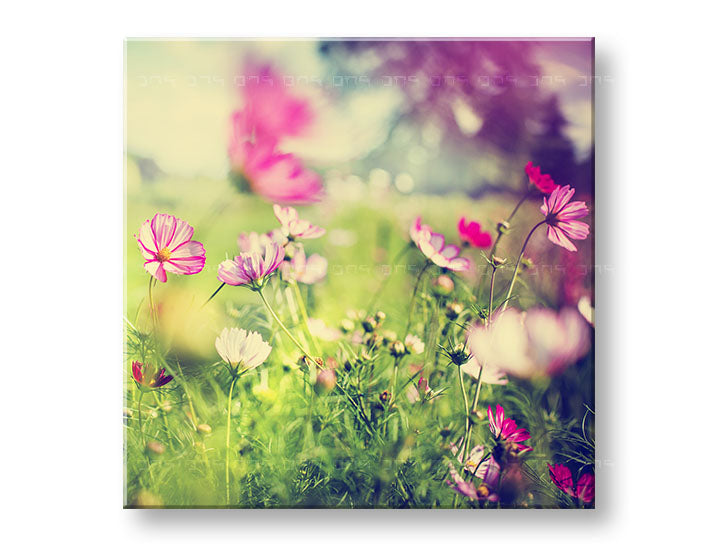 obraz-na-platne-XOBKV165E12.jpg-1