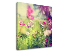 Obraz na stenu RUŽOVÉ KVETY_165-12 | rôzne rozmery