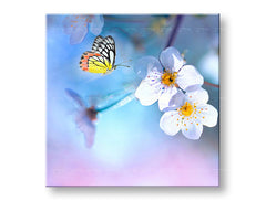 obraz-na-platne-XOBST035E12.jpg-1