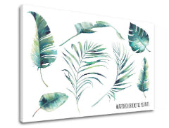 Obraz na stenu s textom Watercolor exotic plants | rôzne rozmery