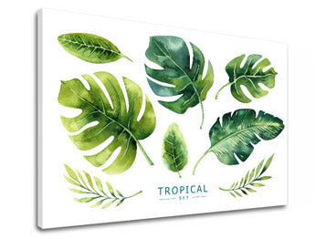 Obraz na stenu s textom Tropical set | rôzne rozmery