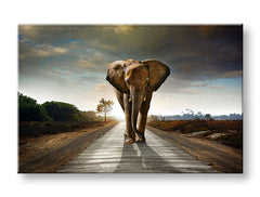 obraz-na-platne-XOBZV046E11.jpg-1