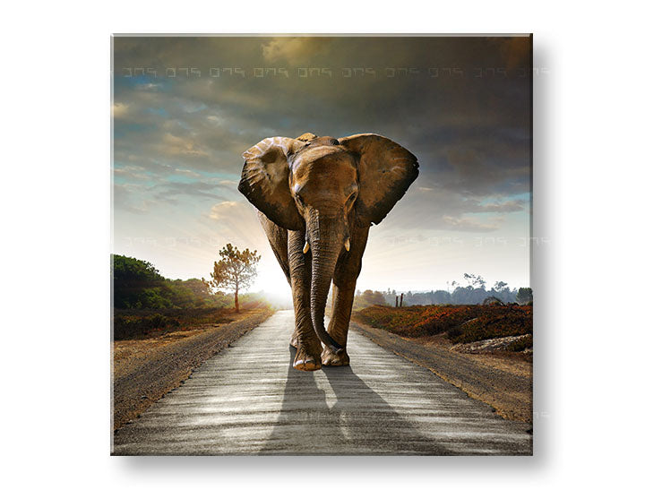 obraz-na-platne-XOBZV046E12.jpg-1