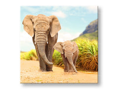 obraz-na-platne-XOBZV049E12.jpg-1