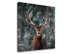 Obraz na stenu ZVIERATÁ_052-12 | rôzne rozmery