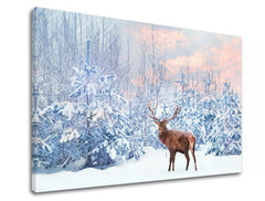 Obraz na stenu ZVIERATÁ_053-11 | rôzne rozmery