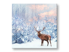 obraz-na-platne-XOBZV053E12.jpg-1