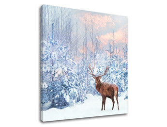 Obraz na stenu ZVIERATÁ_053-12 | rôzne rozmery