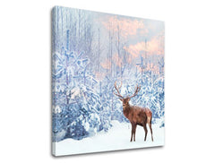 Obraz na stenu ZVIERATÁ_053-12 | rôzne rozmery