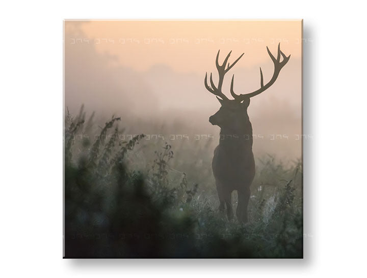 obraz-na-platne-XOBZV054E12.jpg-1