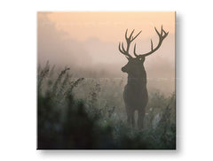 obraz-na-platne-XOBZV054E12.jpg-1