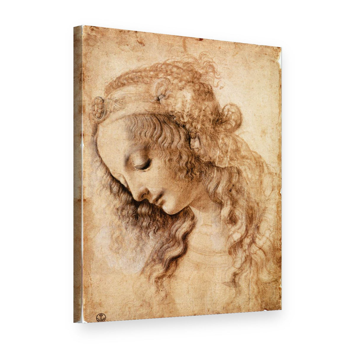 Obraz Hlava ženy – Leonardo da Vinci na plátne, 3D pohľad