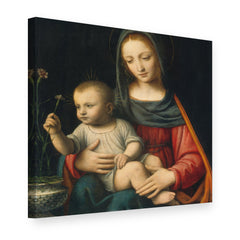 Obraz Madona s karafiátom – Bernardino Luini na plátne, 3D pohľad