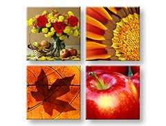 Obraz na stenu The smell of Autumn | rôzne rozmery