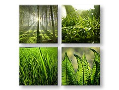 Obraz na stenu Sunrise of Nature | rôzne rozmery