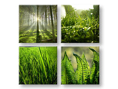 Obraz na stenu Sunrise of Nature | rôzne rozmery
