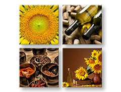 Obraz na stenu Taste of the Sun | rôzne rozmery