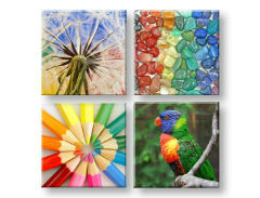 Obraz na stenu Colorful vibes | rôzne rozmery