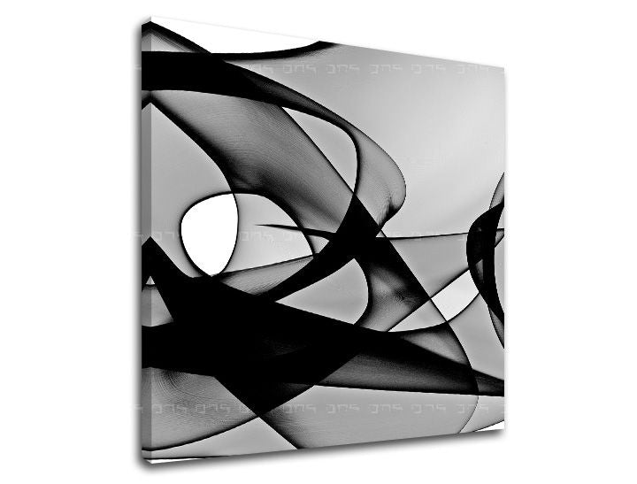 Klasický obraz na plátne s motívom príroda v bielo-čiernych odtieňoch, sofistikovaná atmosféra, pohyb, vhodný do kancelárie | Obraz na stenu ABSTRAKT – hlavný