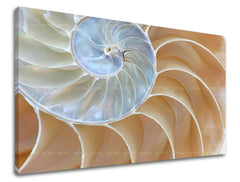 Obraz na stenu ABSTRAKT | rôzne rozmery