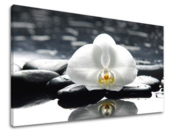 Obraz na stenu FENG SHUI | rôzne rozmery