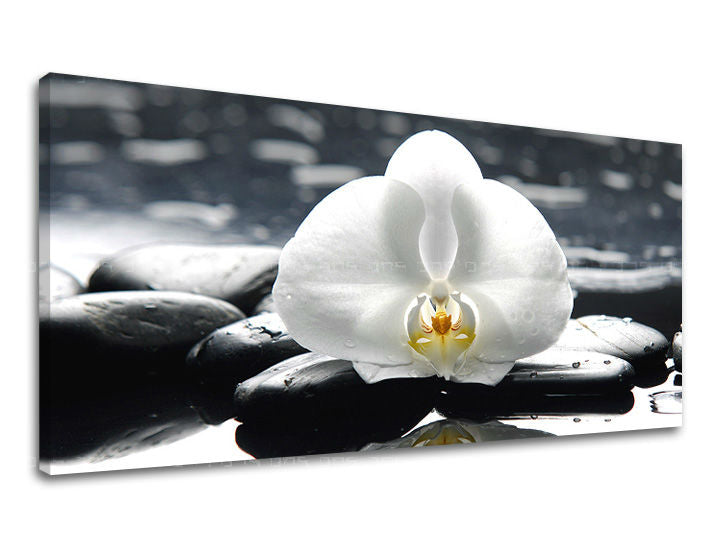 Obraz na stenu PANORÁMA FENG SHUI | rôzne rozmery