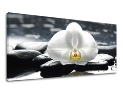 Obraz na stenu PANORÁMA FENG SHUI | rôzne rozmery