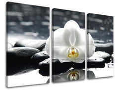 Obraz na stenu FENG SHUI | rôzne rozmery