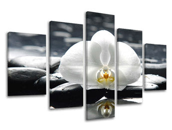 Obraz na stenu FENG SHUI | rôzne rozmery