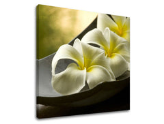 Obraz na stenu FENG SHUI | rôzne rozmery