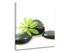 Obraz na stenu FENG SHUI | rôzne rozmery