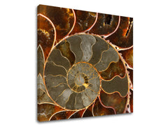 Obraz na stenu INŠPIRÁCIA | rôzne rozmery