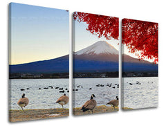 Obraz na stenu KRAJINA | rôzne rozmery