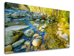 Obraz na stenu KRAJINA | rôzne rozmery