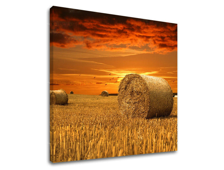 Obraz na stenu KRAJINA | rôzne rozmery